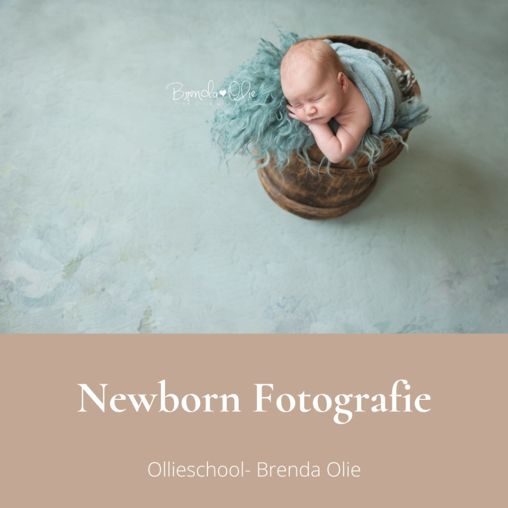 newborn fotografie leren